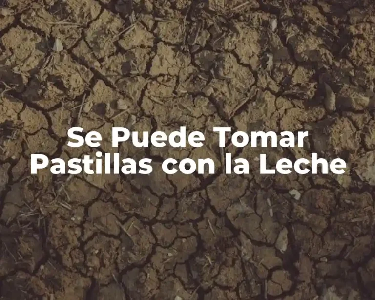 Se Puede Tomar Pastillas con la Leche