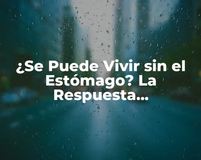 ¿Se Puede Vivir sin el Estómago? La Respuesta Sorprendente