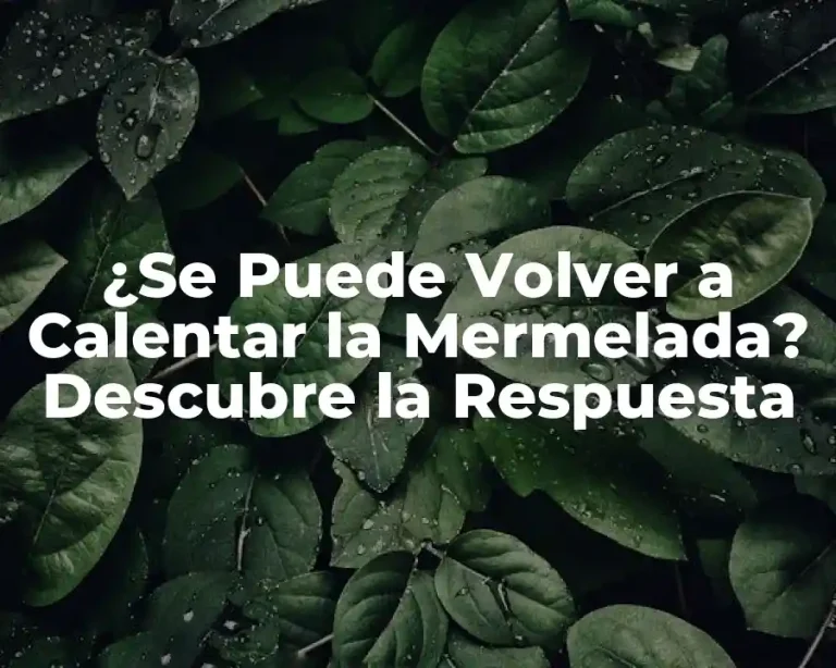 ¿Se Puede Volver a Calentar la Mermelada? Descubre la Respuesta