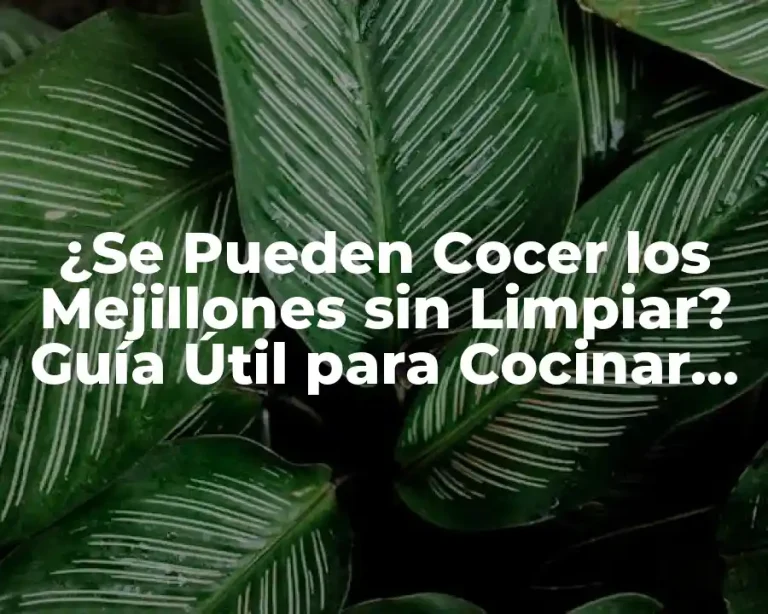 ¿Se Pueden Cocer los Mejillones sin Limpiar? Guía Útil para Cocinar Mejillones