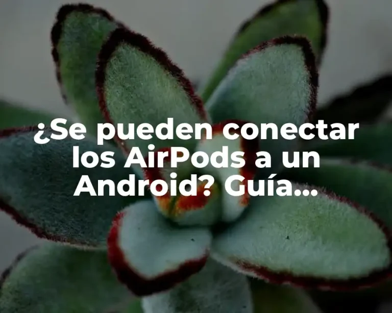 ¿Se pueden conectar los AirPods a un Android? Guía definitiva para conectar AirPods a dispositivos Android