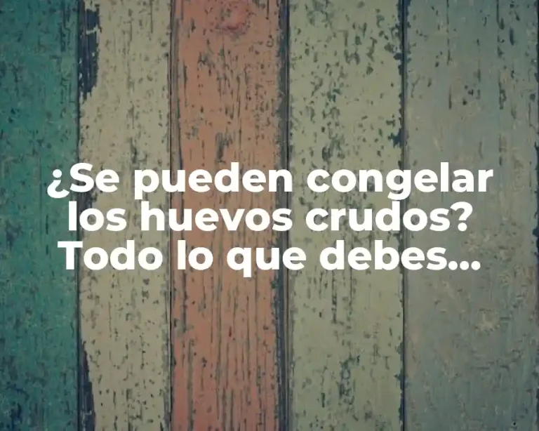 ¿Se pueden congelar los huevos crudos? Todo lo que debes saber