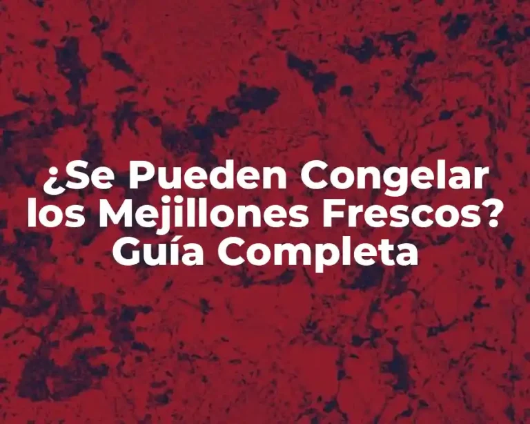 ¿Se Pueden Congelar los Mejillones Frescos? Guía Completa