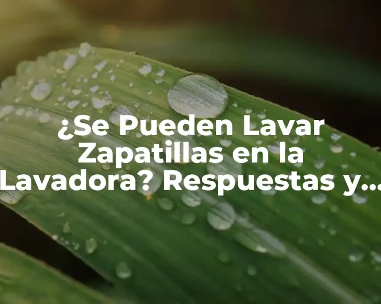 ¿Se Pueden Lavar Zapatillas en la Lavadora? Respuestas y Condiciones