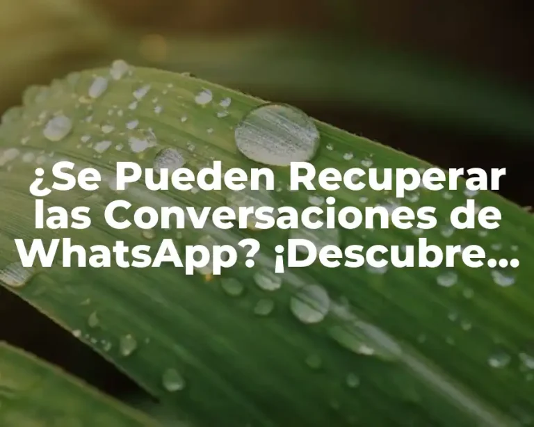 ¿Se Pueden Recuperar las Conversaciones de WhatsApp? ¡Descubre la Verdad!