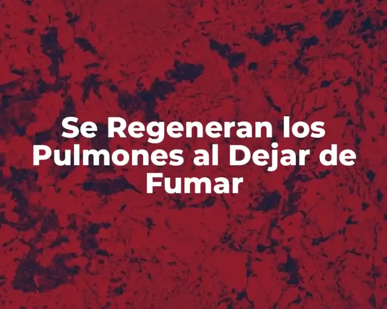 Se Regeneran los Pulmones al Dejar de Fumar