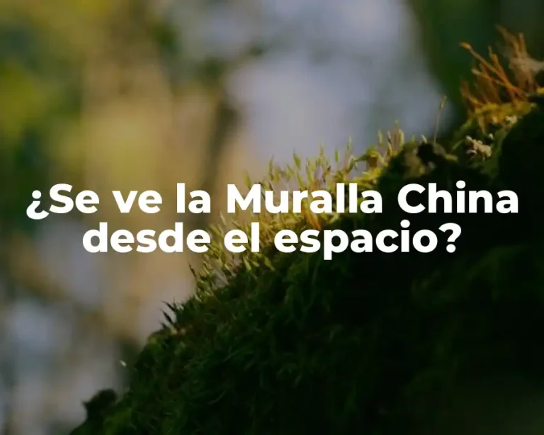 ¿Se ve la Muralla China desde el espacio?