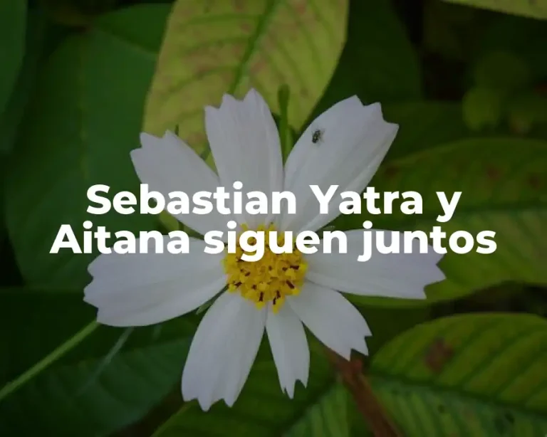 Sebastian Yatra y Aitana siguen juntos