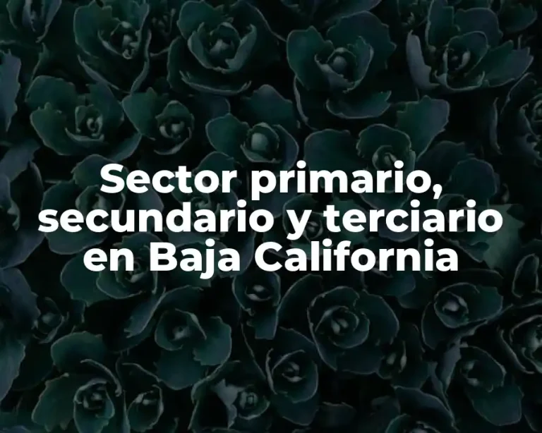 Sector primario, secundario y terciario en Baja California