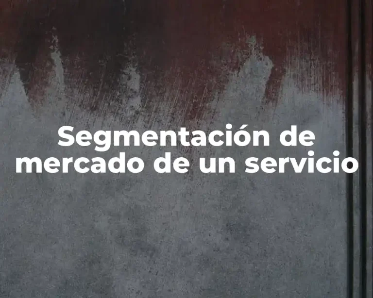 Segmentación de mercado de un servicio
