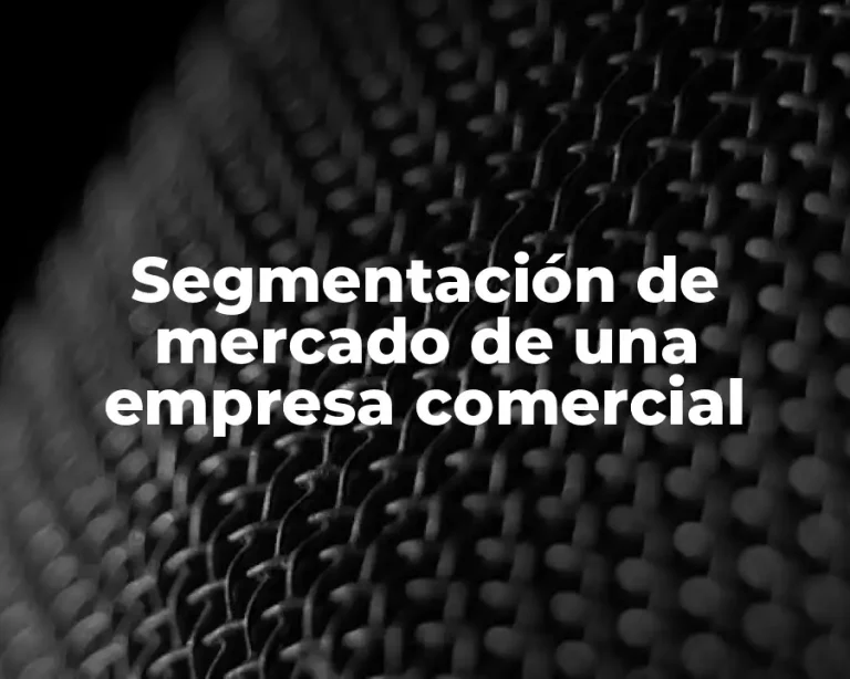 Segmentación de mercado de una empresa comercial