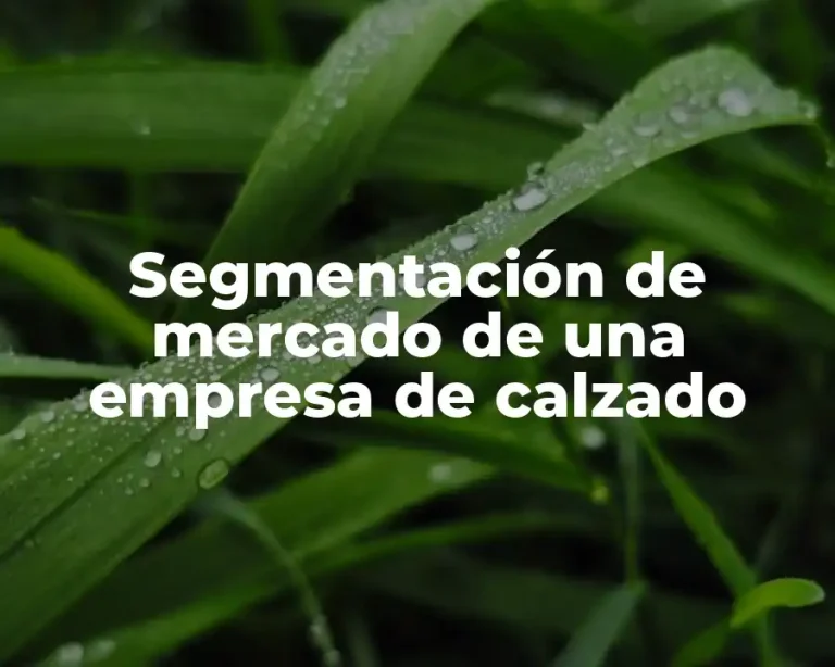 Segmentación de mercado de una empresa de calzado