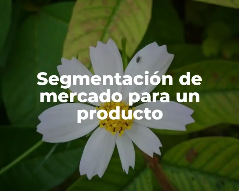 Segmentación de mercado para un producto