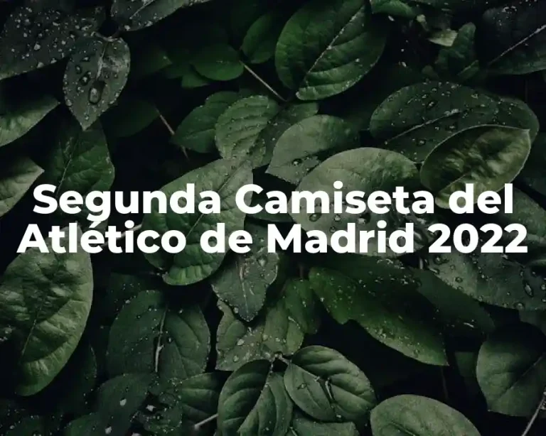 Segunda Camiseta del Atlético de Madrid 2022