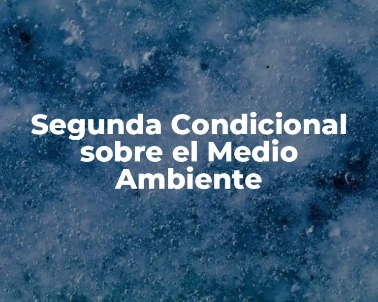 Segunda Condicional sobre el Medio Ambiente