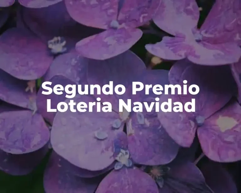Segundo Premio Loteria Navidad