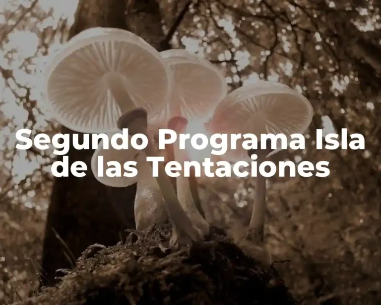 Segundo Programa Isla de las Tentaciones