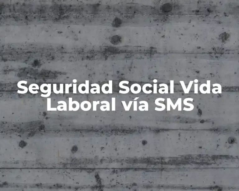 Seguridad Social Vida Laboral vía SMS