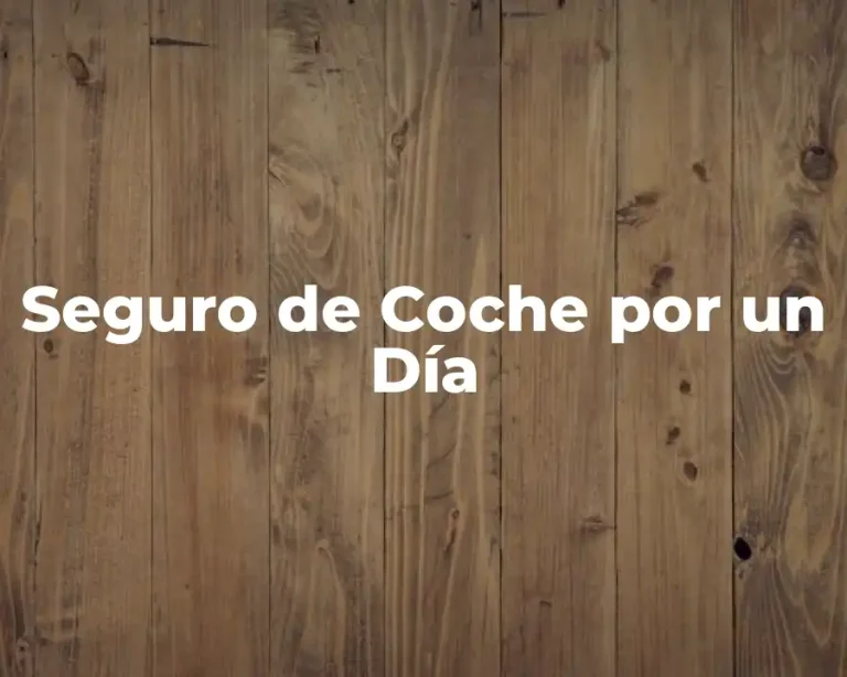 Seguro de Coche por un Día