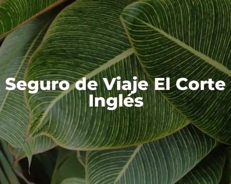 Seguro de Viaje El Corte Inglés