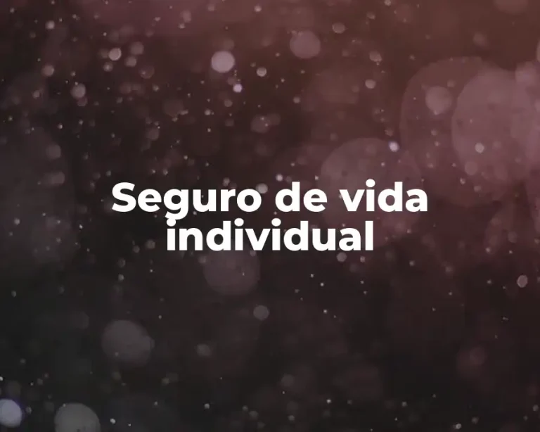 Seguro de vida individual
