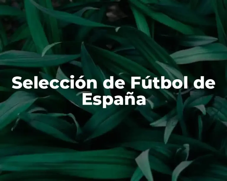 Selección de Fútbol de España