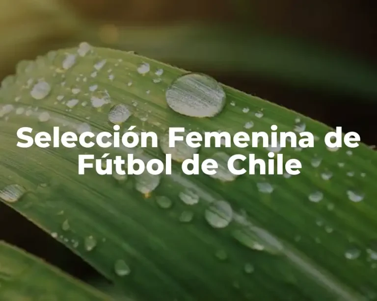 Selección Femenina de Fútbol de Chile