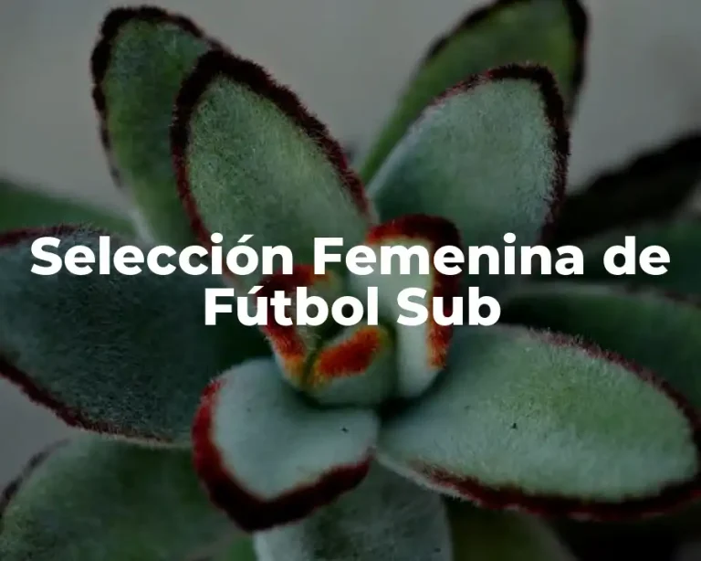 Selección Femenina de Fútbol Sub