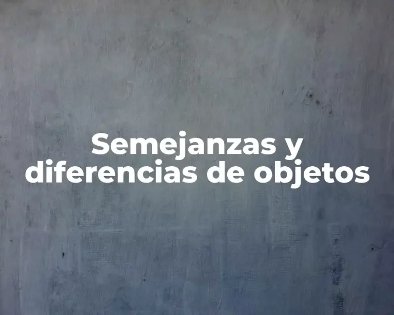Semejanzas y diferencias de objetos