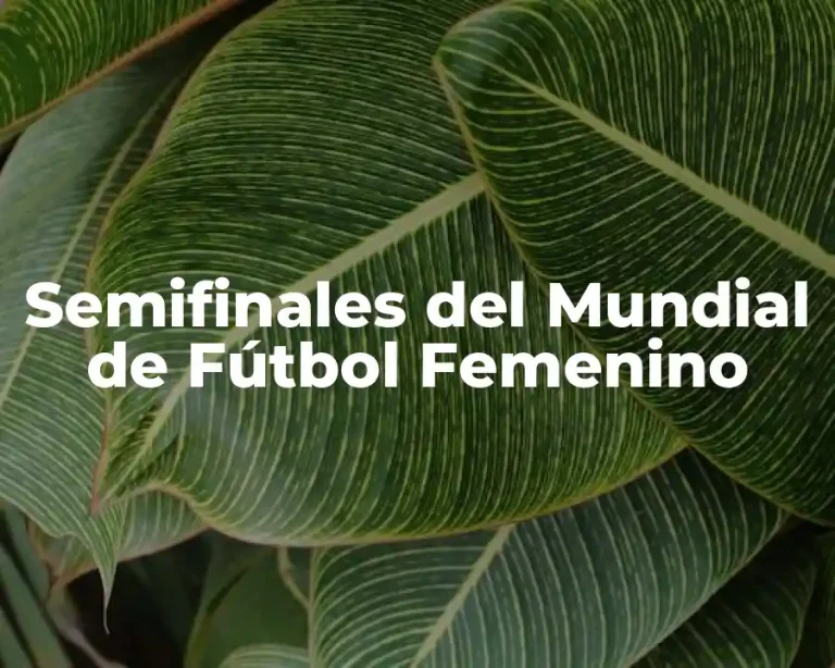 Semifinales del Mundial de Fútbol Femenino