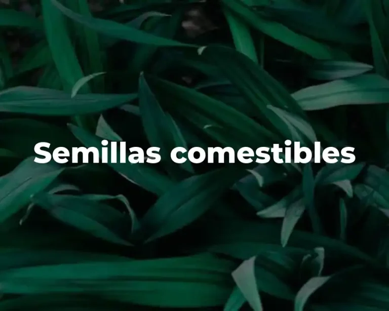 Semillas comestibles