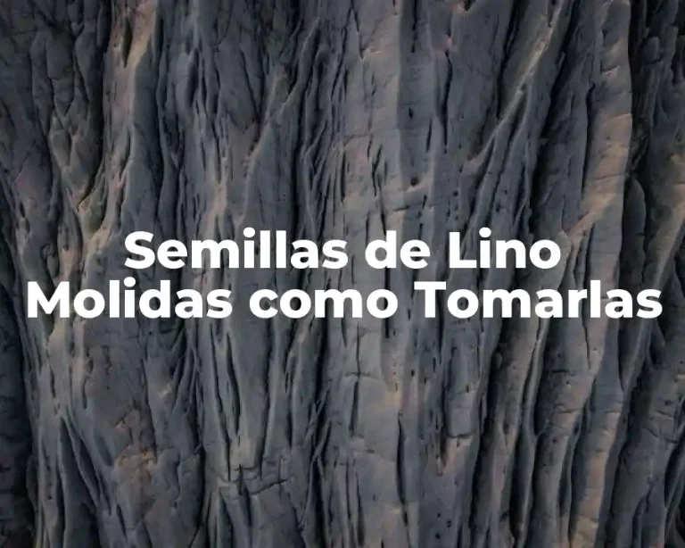 Semillas de Lino Molidas como Tomarlas
