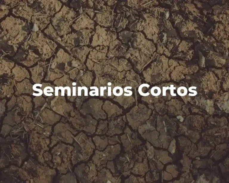 Seminarios Cortos