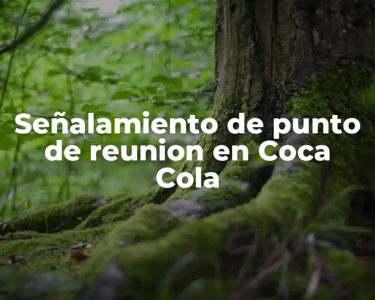 Señalamiento de punto de reunion en Coca Cola