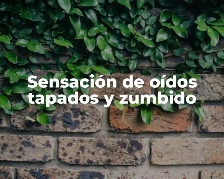 Sensación de oídos tapados y zumbido