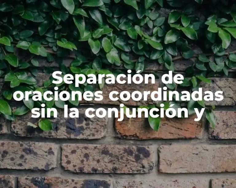 Separación de oraciones coordinadas sin la conjunción y