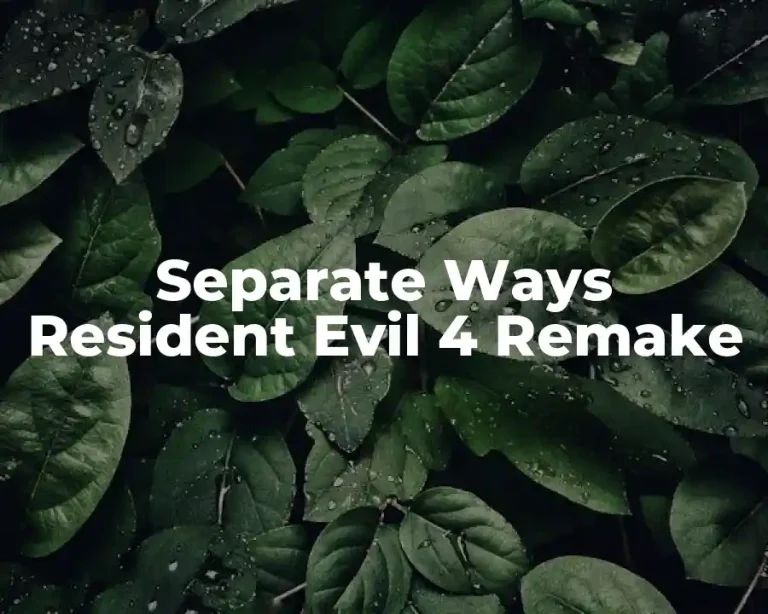 Separate Ways Resident Evil 4 Remake