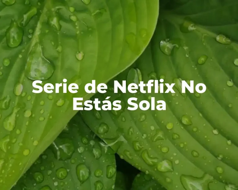 Serie de Netflix No Estás Sola