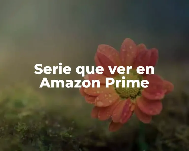 Serie que ver en Amazon Prime