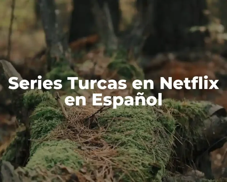 Series Turcas en Netflix en Español