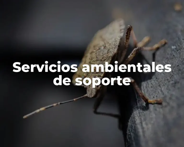 Servicios ambientales de soporte