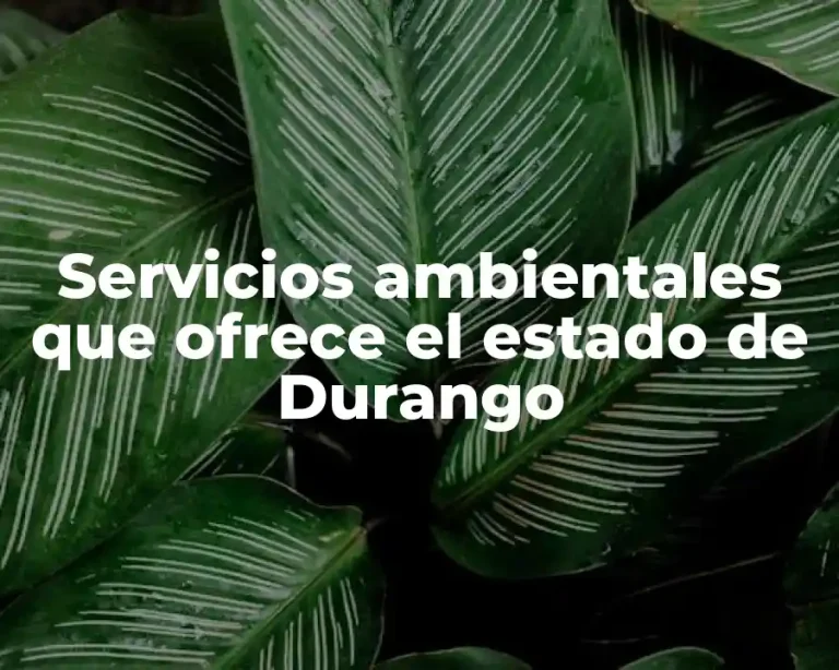 Servicios ambientales que ofrece el estado de Durango