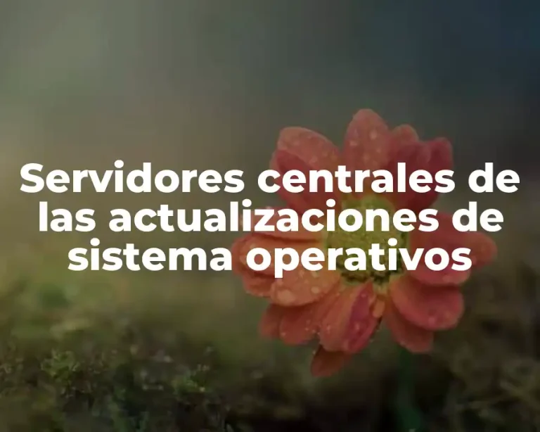 Servidores centrales de las actualizaciones de sistema operativos