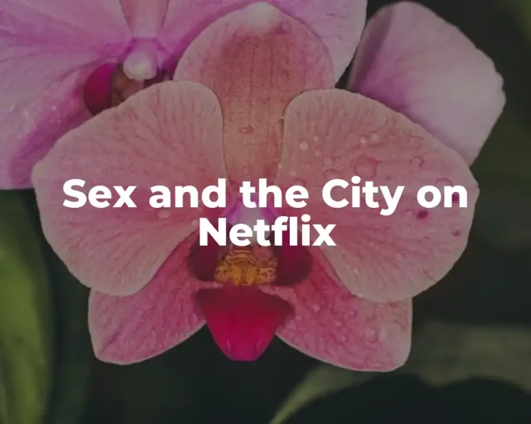 Sex and the City on Netflix