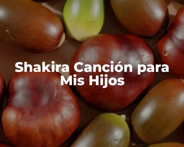 Shakira Canción para Mis Hijos