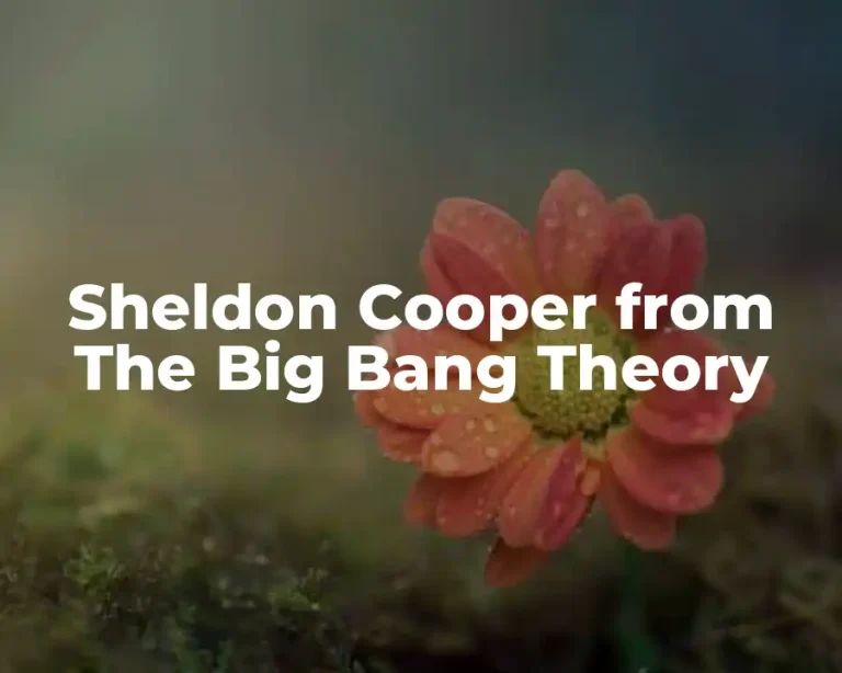 Sheldon Cooper from The Big Bang Theory