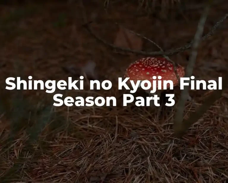 Shingeki no Kyojin Final Season Part 3
