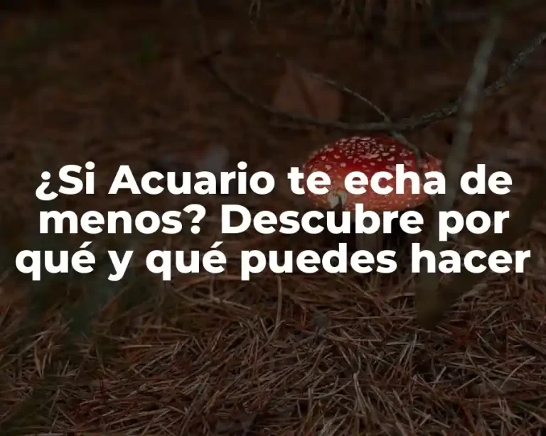 ¿Si Acuario te echa de menos? Descubre por qué y qué puedes hacer