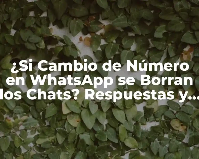 ¿Si Cambio de Número en WhatsApp se Borran los Chats? Respuestas y Soluciones