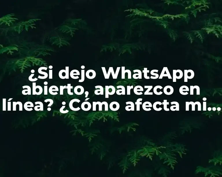 ¿Si dejo WhatsApp abierto, aparezco en línea? ¿Cómo afecta mi privacidad?